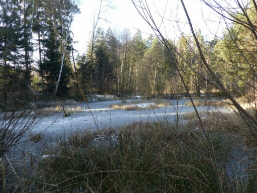hexennacht-im-moor-winterzauber-(c)chiemsee-alpenland-tourismus