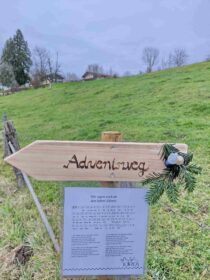 kl-IMG_20221206_121034