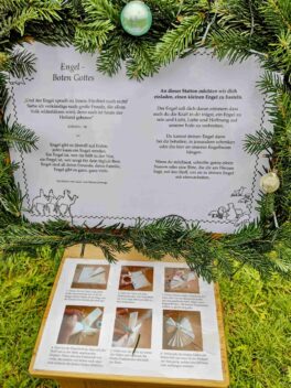 kl-IMG_20221206_123057