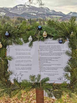 kl-IMG_20221206_125527