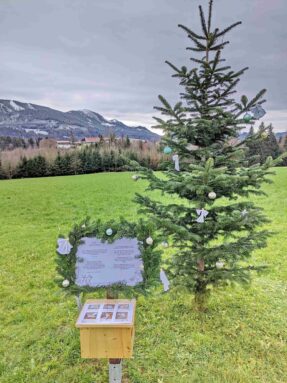 kl-MVIMG_20221206_123049