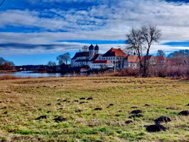 5a1c6f5d-eee9-43ff-9f9b-7f6f9eb327c9