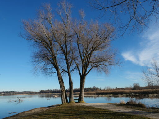 AktNatBeo-230101-ja-6_Schafwaschener Bucht