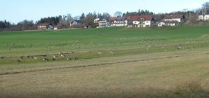 Dreikönigs-Impressionen