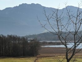 Dreikönigs-Impressionen