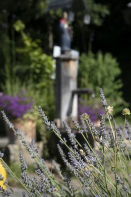 SLQ_Natur_still+medium_587