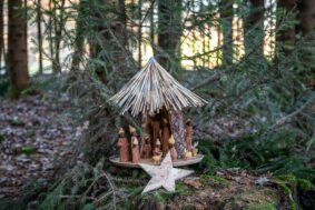 SamerbergerKrippenweg-1460748