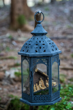 SamerbergerKrippenweg-1460750