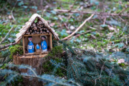 SamerbergerKrippenweg-1460752