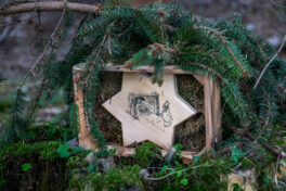 SamerbergerKrippenweg-1460754