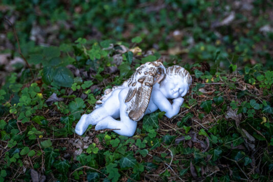 SamerbergerKrippenweg-1460762