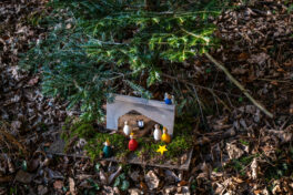 SamerbergerKrippenweg-1460775