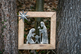 SamerbergerKrippenweg-1460781