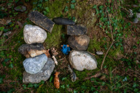 SamerbergerKrippenweg-1460790