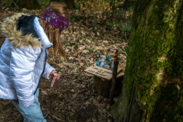 SamerbergerKrippenweg-1460806