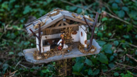 SamerbergerKrippenweg-1460818