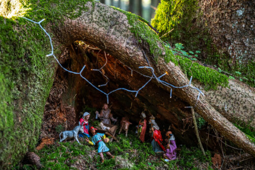 SamerbergerKrippenweg-1460825