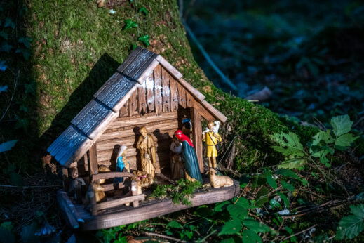 SamerbergerKrippenweg-1460837
