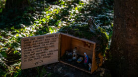 SamerbergerKrippenweg-1460851