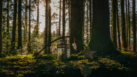 SamerbergerKrippenweg-1460882