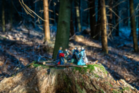 SamerbergerKrippenweg-1460889