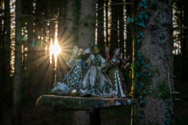 SamerbergerKrippenweg-1470076