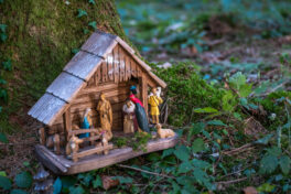 SamerbergerKrippenweg-1470138