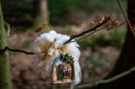 SamerbergerKrippenweg-1470155