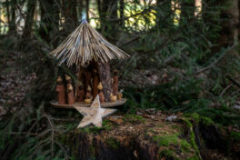 SamerbergerKrippenweg-1470197