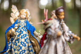 SamerbergerKrippenweg-1470224