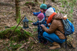 SamerbergerKrippenweg-1470381