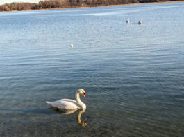 Dreikönigs-Impressionen