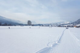 Winterwanderweg, links Loipe