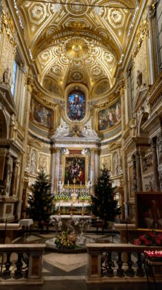 cdbff12d-c341-48fb-935e-de9329de54d9