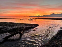 1f0aef9c-2b63-49f7-a939-64adea2bde32