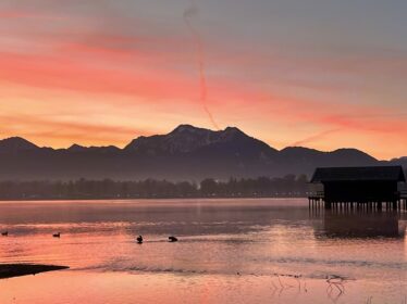 20230216_073346228HEIF_JPG_20230216_055957519_iOS (1)