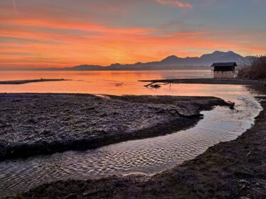 20230216_073347310HEIF_JPG_20230216_060551354_iOS