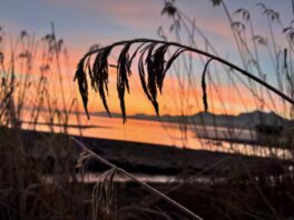 20230216_073347673HEIF_JPG_20230216_060635555_iOS