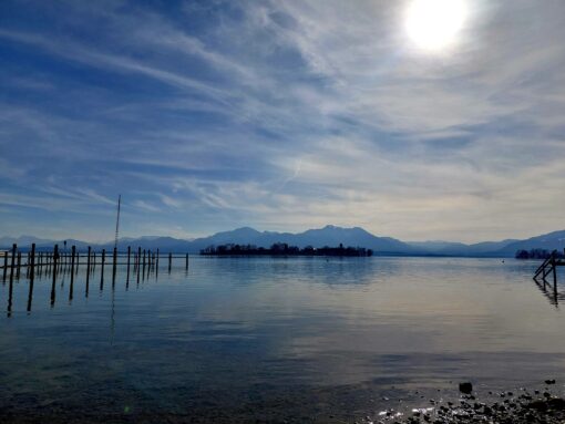 20230216_114408_resized