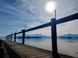 20230216_114459_resized