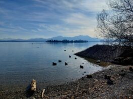 20230216_114612_resized