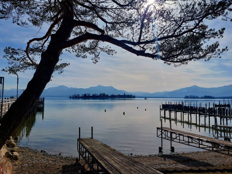 20230216_115802_resized