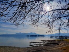 20230216_120546_resized