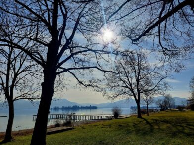 20230216_121642_resized