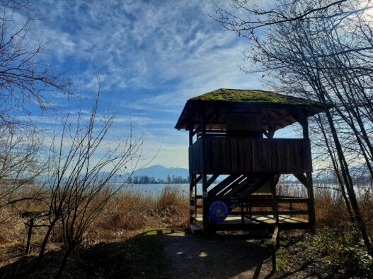 20230216_124320_resized