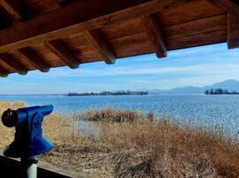 20230216_124450_resized