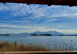 20230216_124814_resized