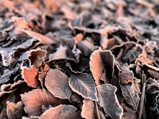 36b14d66-cfb1-4b86-9325-1bd428e05922