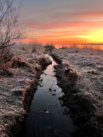 58ca770d-de3a-42b4-800c-8f514ac904e2