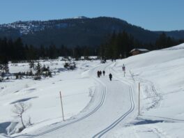 skibetrieb winklmoosalm 7